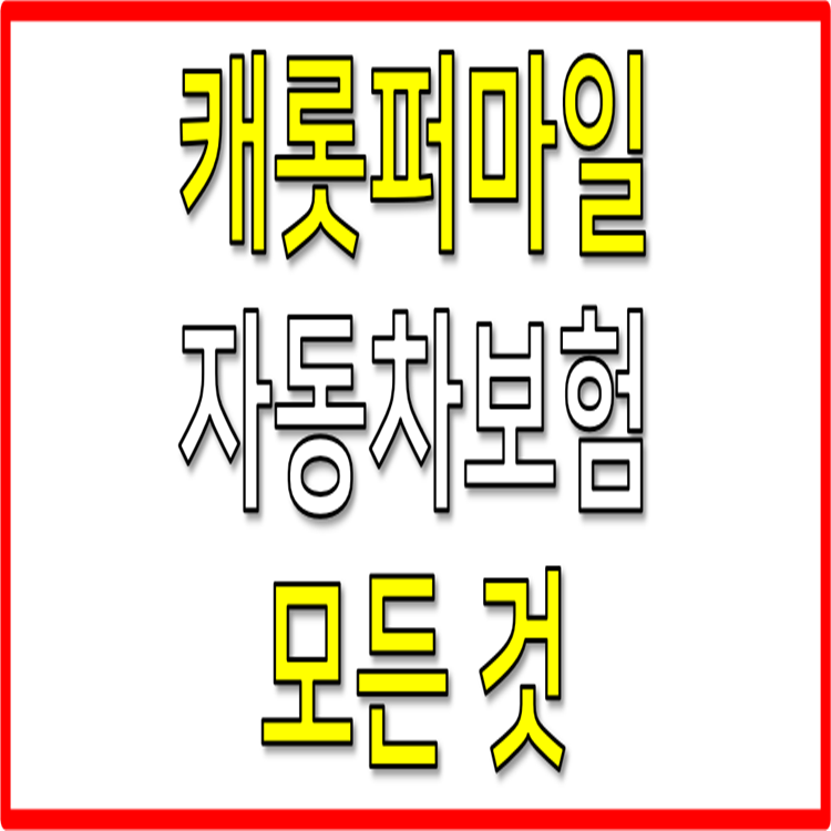 캐롯퍼마일-자동차보험-단점-후기