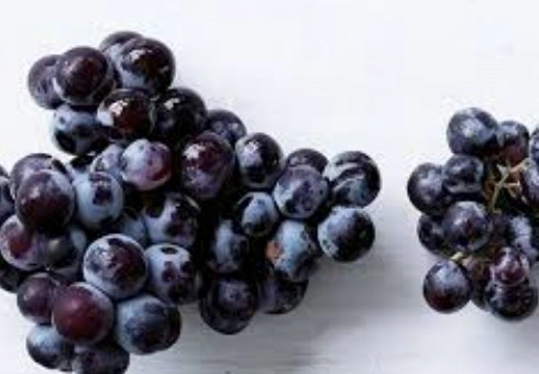 Resveratrol Benefits