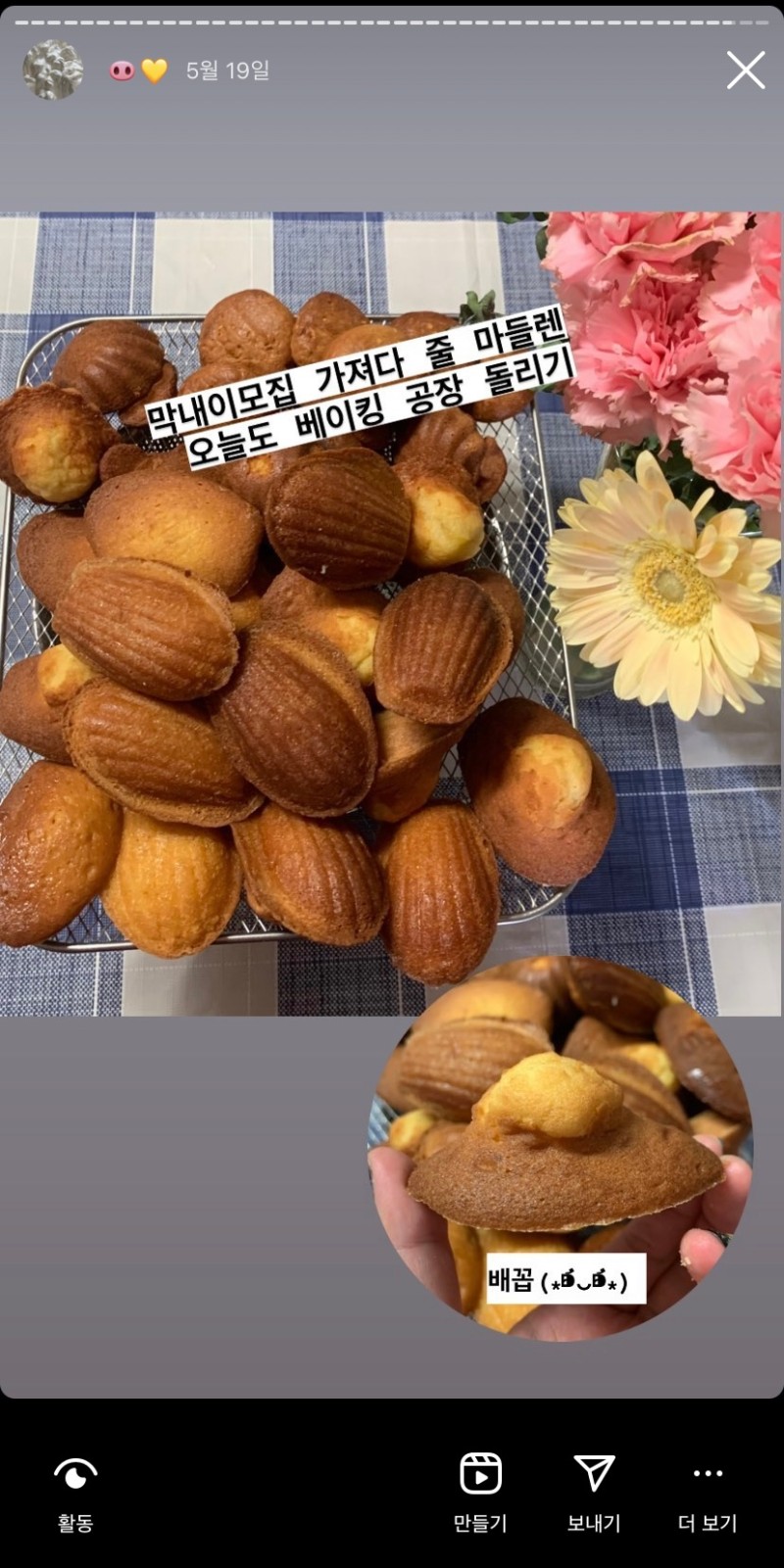 도스트 이미지