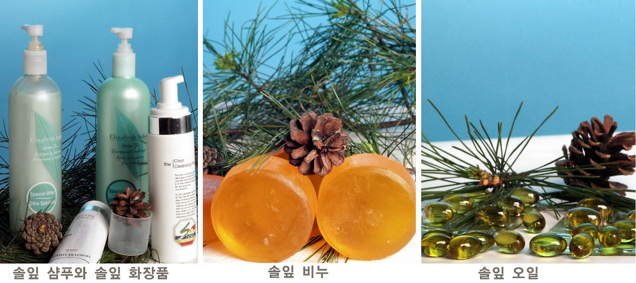 솔잎 기름짜는 방법, 효능