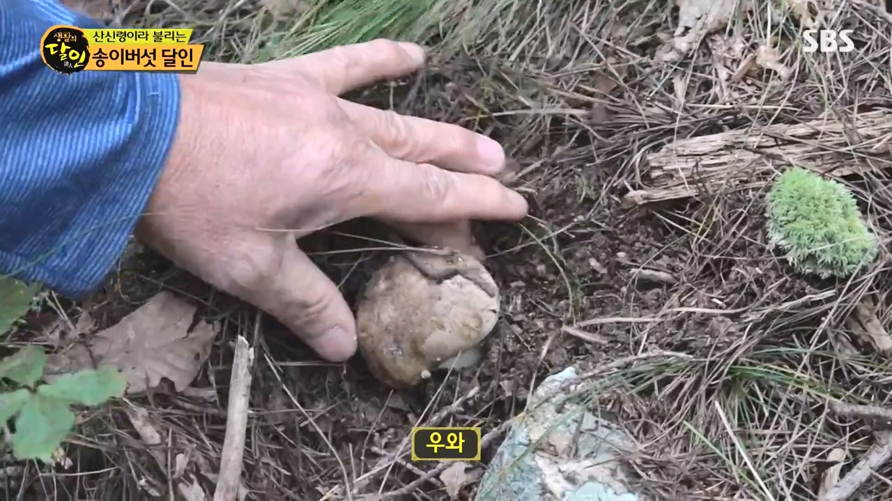 생활의 달인.E907.231010p-NEXT.mp4_20231010_202750.330.jpg