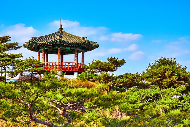 여야의정 협의체 뜻 정리 ✅