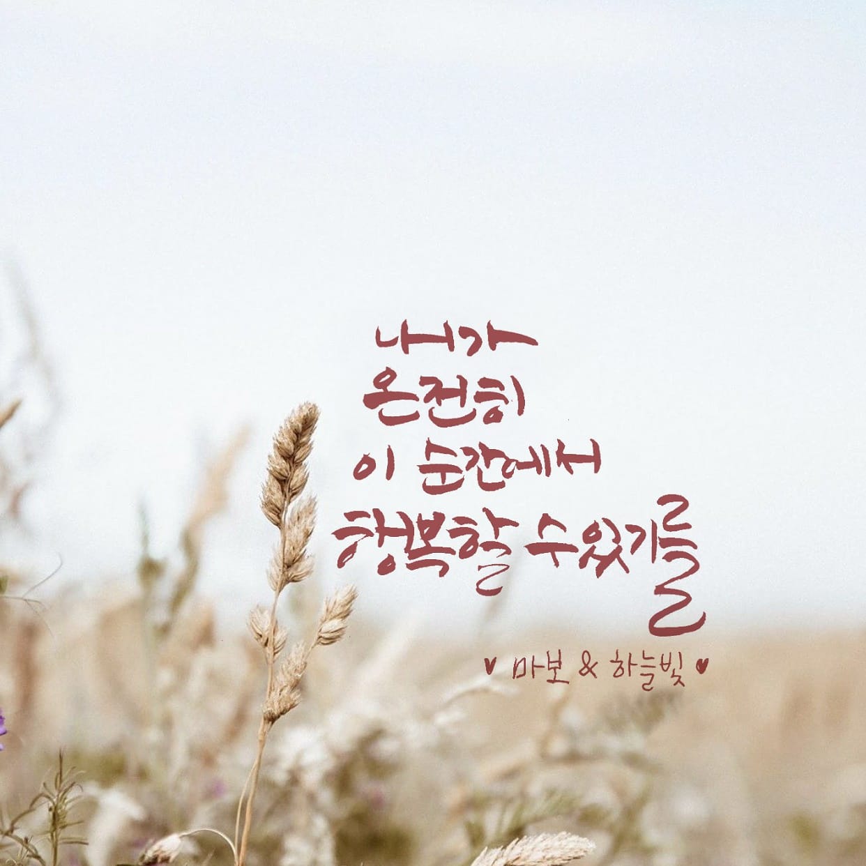  마음보기명상(마보앱)에서 건내온 한마디:)