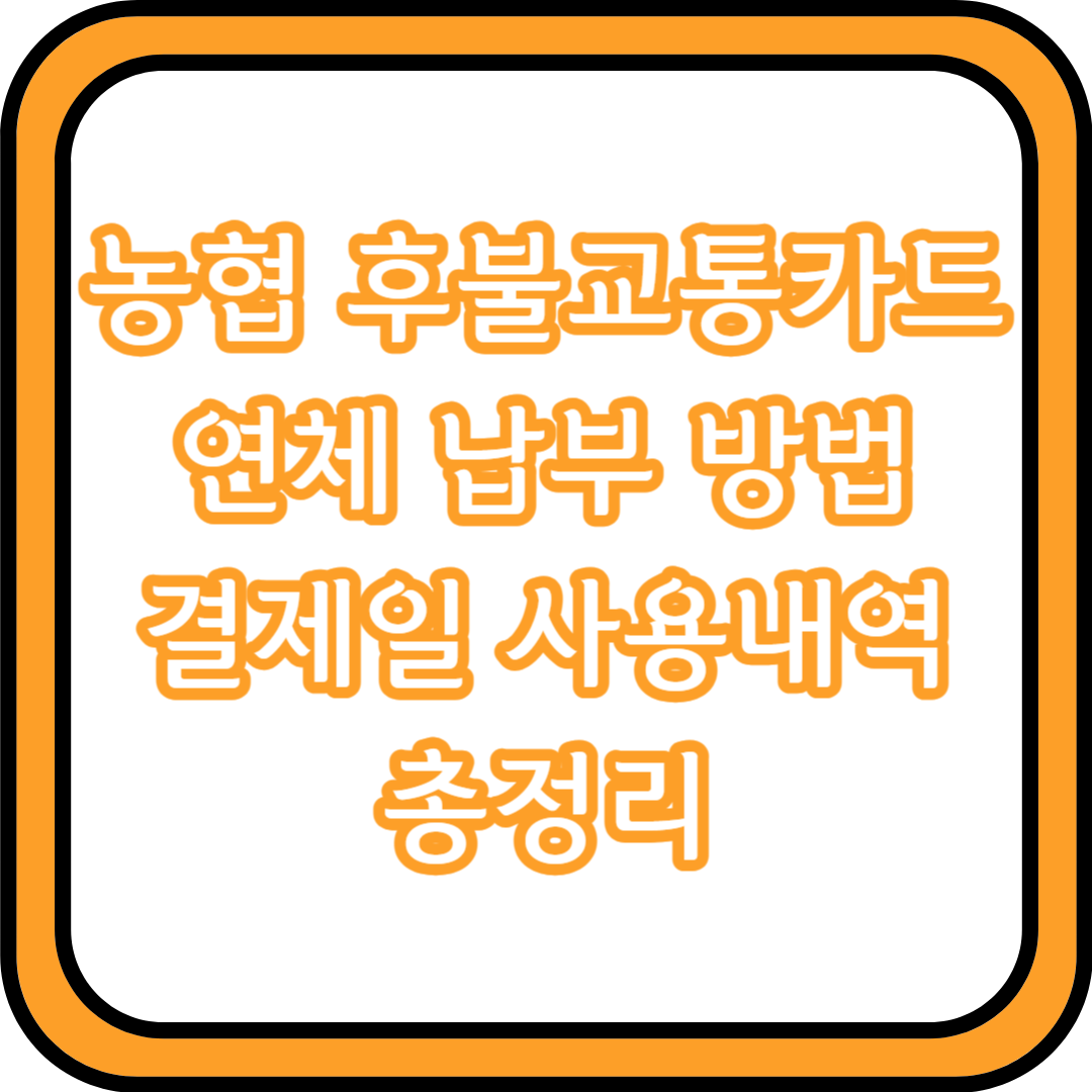  농협 후불교통카드 연체 납부 방법 결제일 사용내역 총정리