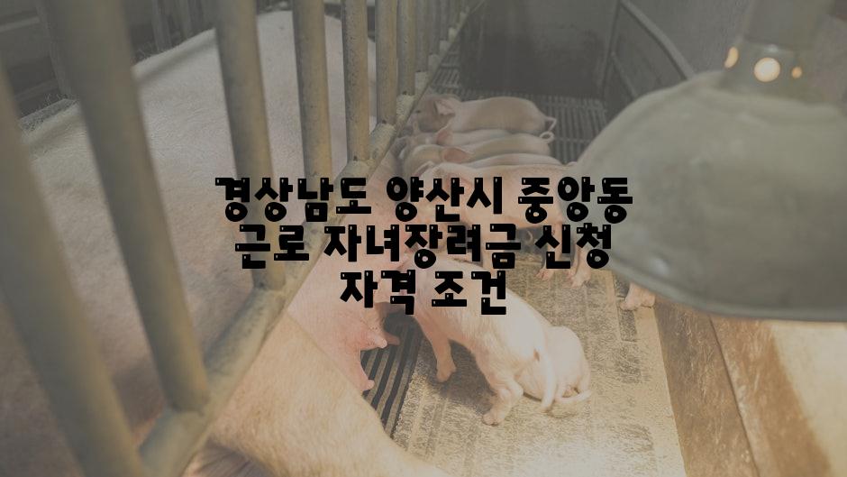 경상남도 양산시 중앙동 근로 자녀장려금 신청 자격 조건