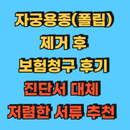 자궁용종폴립_제거후_보험청구후기_진단서_대체하는_저렴한_서류_추천