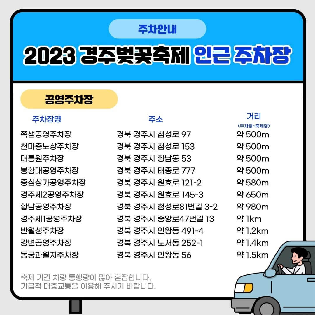 경주 벚꽃 축제 보문단지