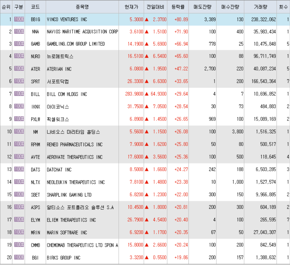  8월27일 미국주식 상승률 상위 종목 TOP 300