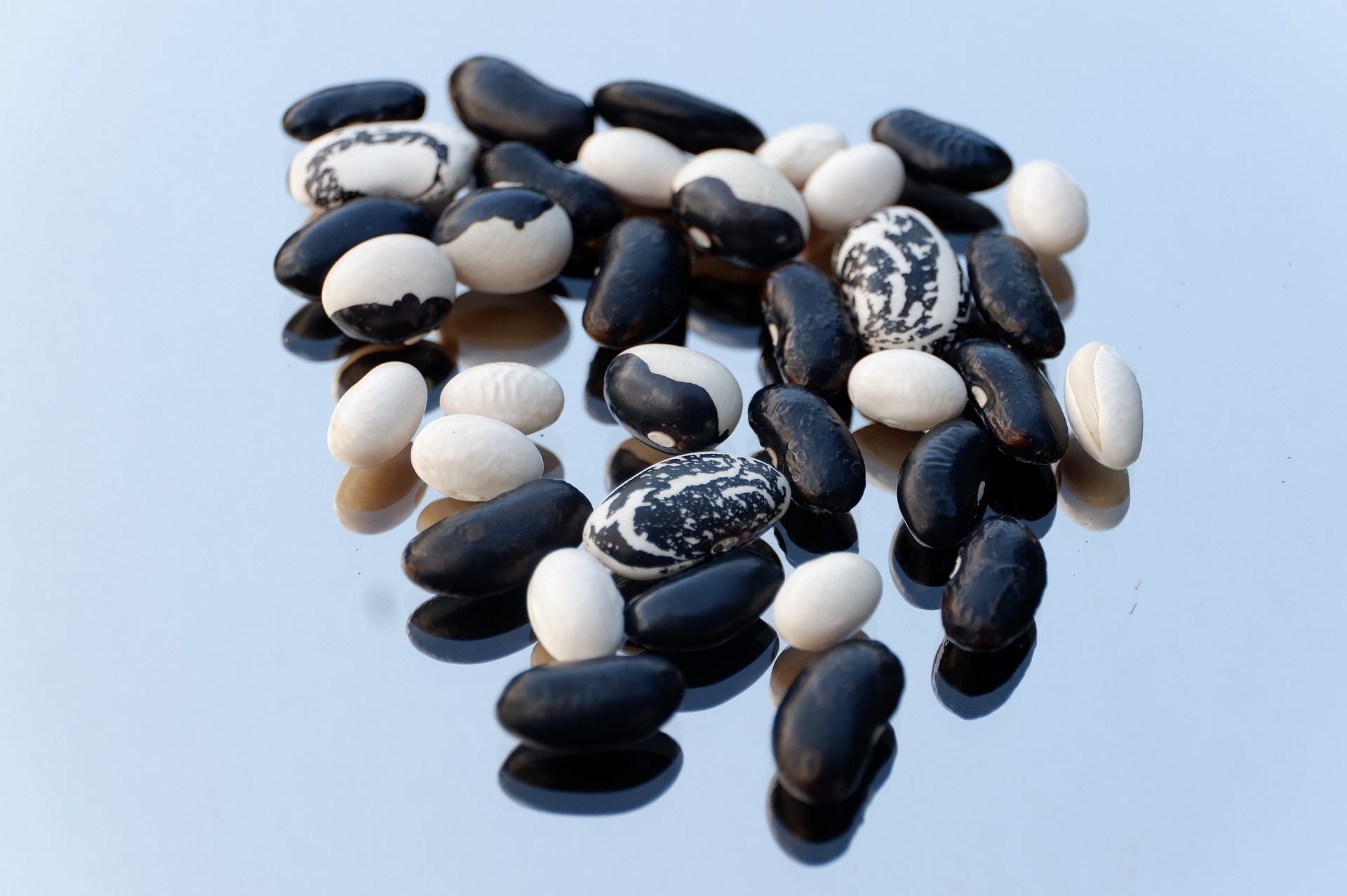 검은 콩과 흰콩&#44; 얼룩콩을 바닥에 쏟아 놓은 사진 - 태음인(太陰人)에게 맞는 음식