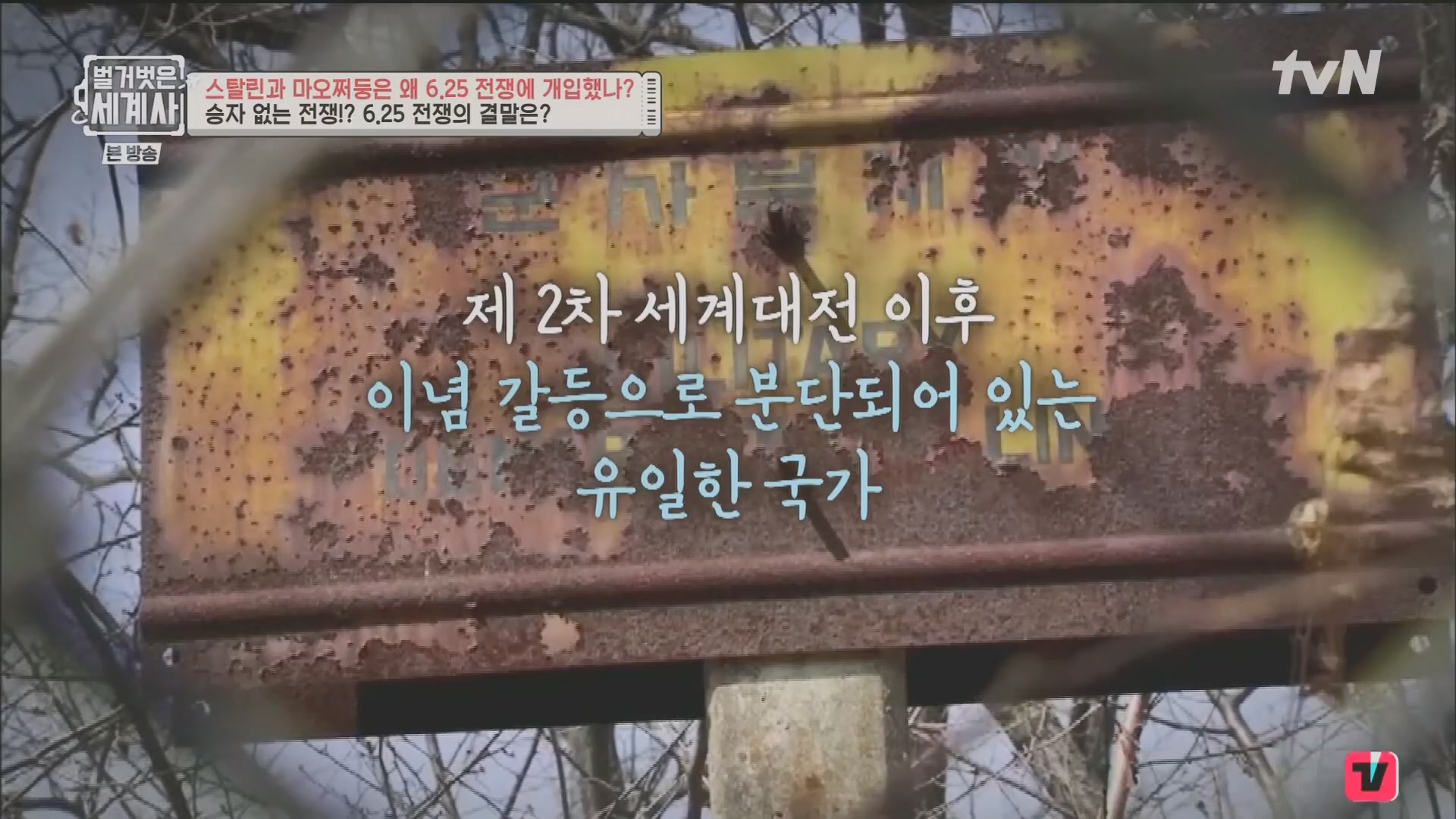 벌거벗은 세계사.E114.230829p.H264-F1RST.mp4_20240323_165440.020.jpg