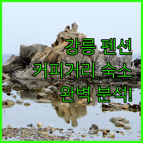 강릉 펜션 완벽 분석 안목 커피거리 