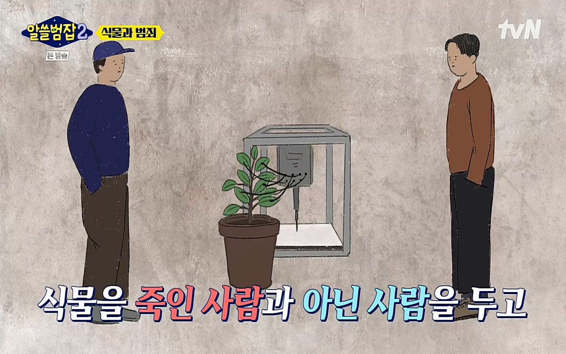 알쓸범잡 2.E15.220425p-NEXT.mp4_20220425_175037.408.jpg