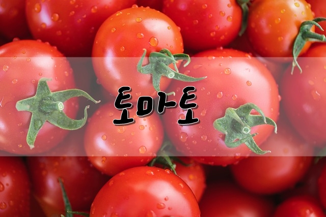  토마토의 영양, 효능, 고르는 방법 등