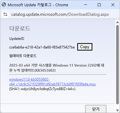 2025-03 x64 기반 시스템용 Windows 11 Version 22H2에 대한 누적 업데이트(KB5053602)