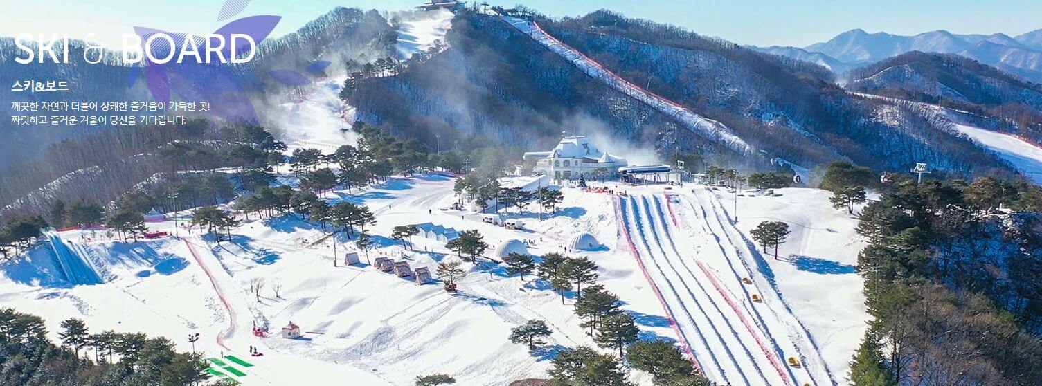 소노벨 비발디파크