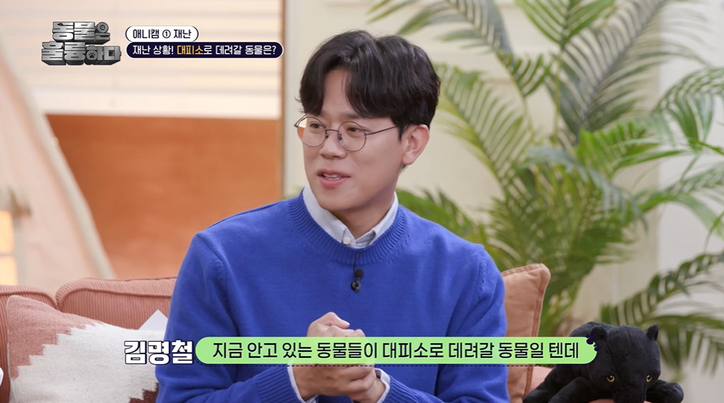 반려인들은 알아두면 좋을 만한 정보들...jpg | 인스티즈
