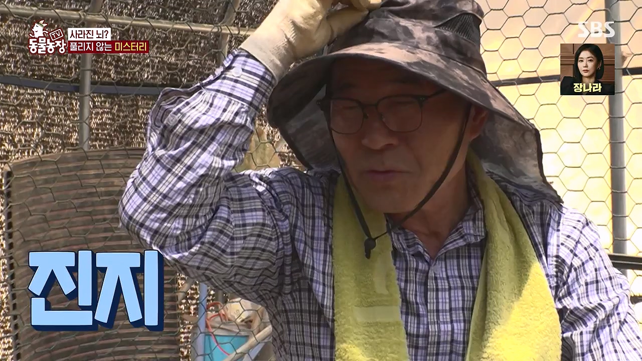 TV 동물농장.E1179.240708p-NEXT.mp4_20240707_160430.298.jpg