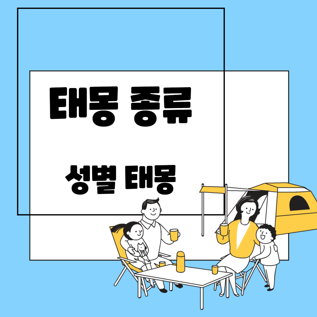  태몽 종류와 태몽 성별 정리 최신정보 공유 1부