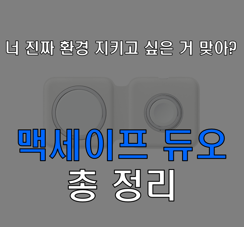  맥세이프 듀오 구매하지 않는 이유