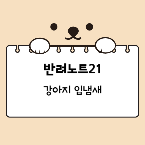 강아지 입냄새 비린내 원인과 냄새 제거법
