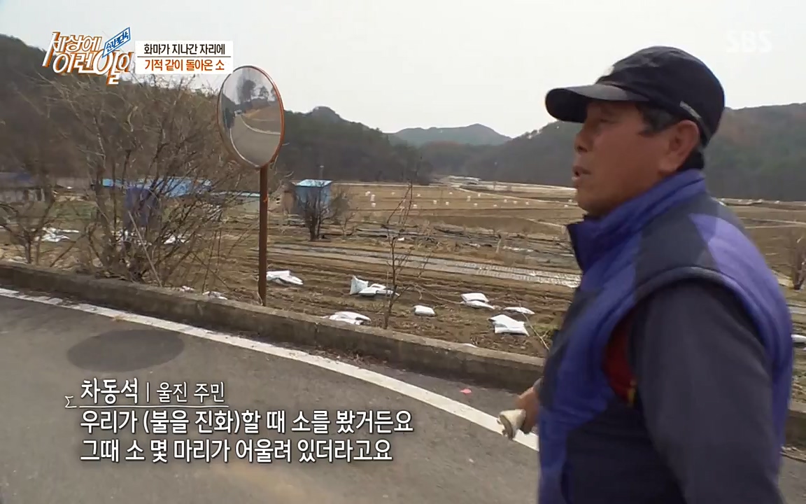 순간포착 세상에 이런일이.E1174.220406p-NEXT.mp4_20220406_174457.546.jpg