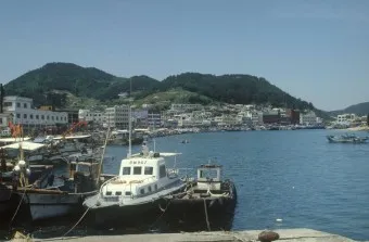 완도항 여객선터미널 시간표 배편 예매 요금_5