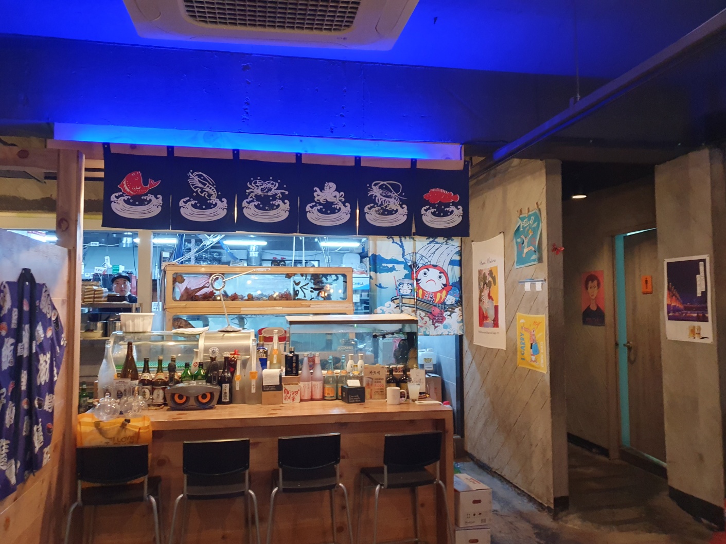 카모메 사진 2