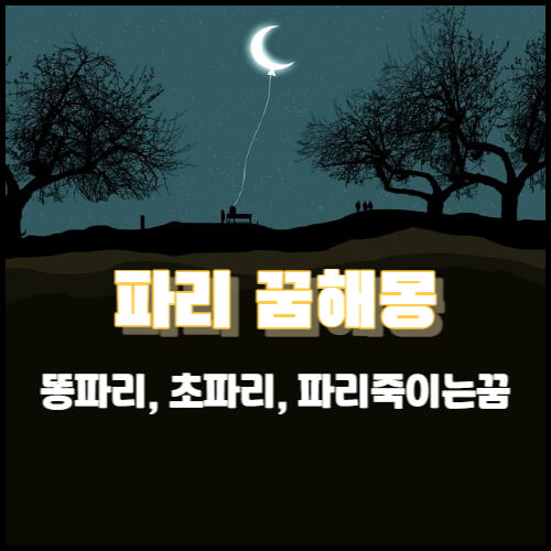 파리 꿈해몽