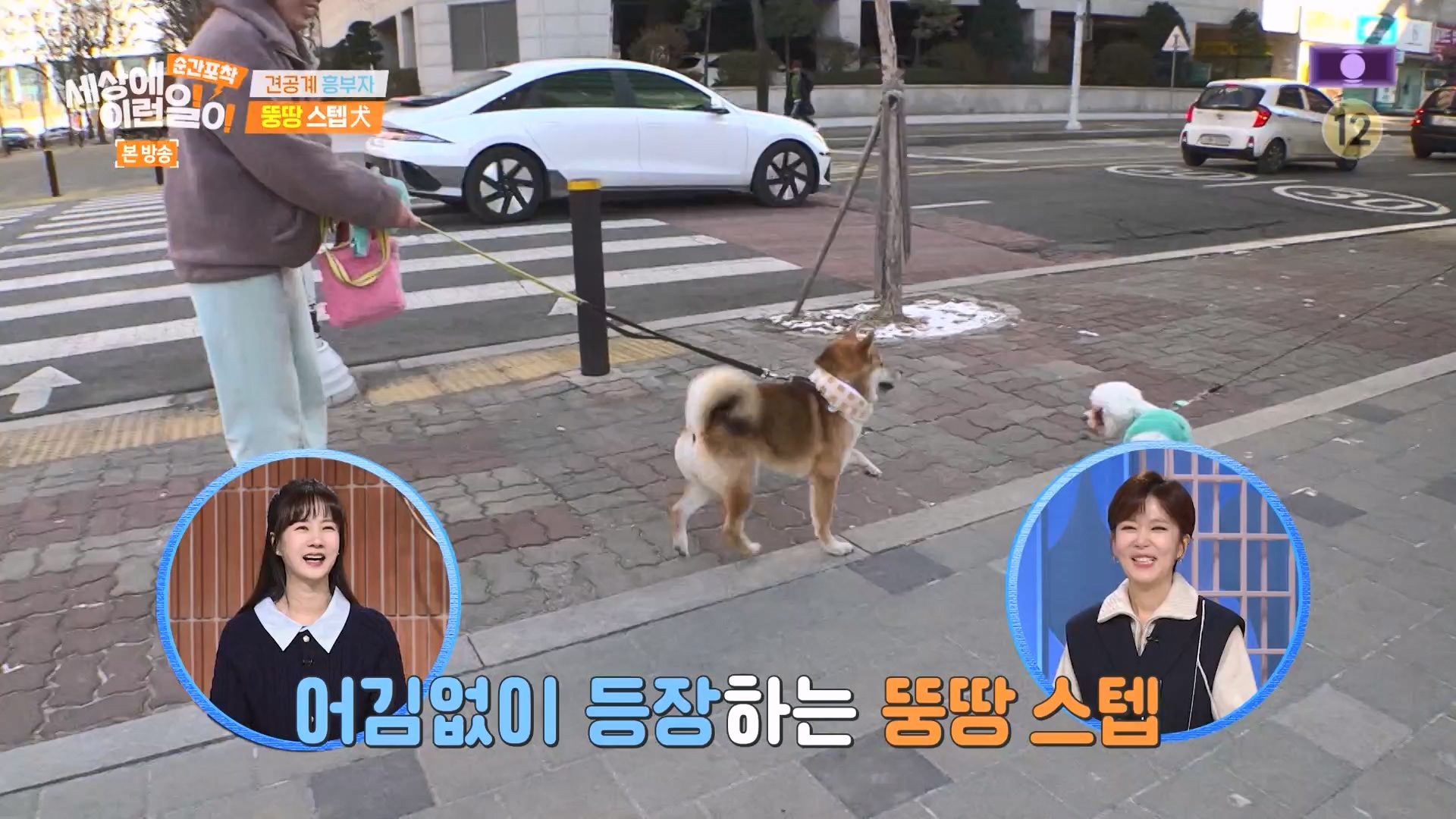 순간포착 세상에 이런일이.E1261.240120p-NEXT.mp4_20240121_133930.417.jpg