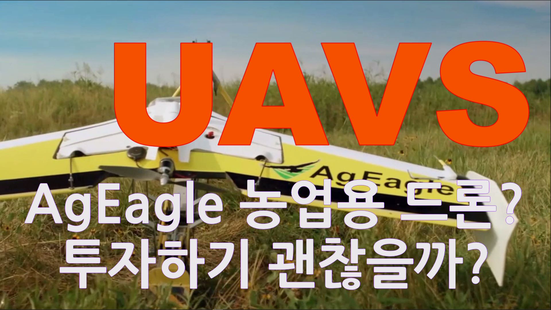  UAVS 주가 급등하는 이유: AgEagle 단순 농업용 드론일까? 대마주와 밀접하게 움직임을 보이는 AgEagle 투자 하기 괜찮을까?