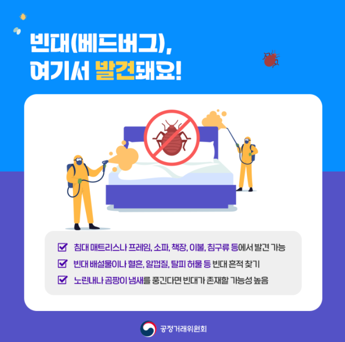 빈대 예방 및 대응법