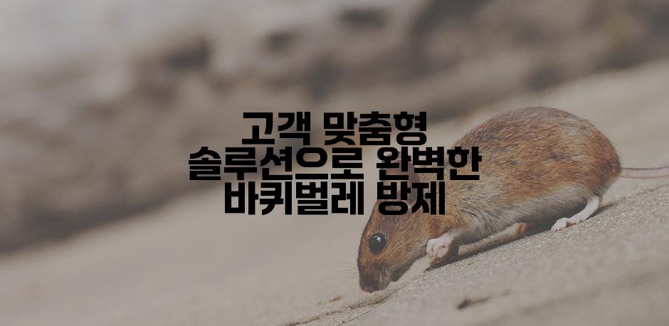 고객 맞춤형 솔루션으로 완벽한 바퀴벌레 방제