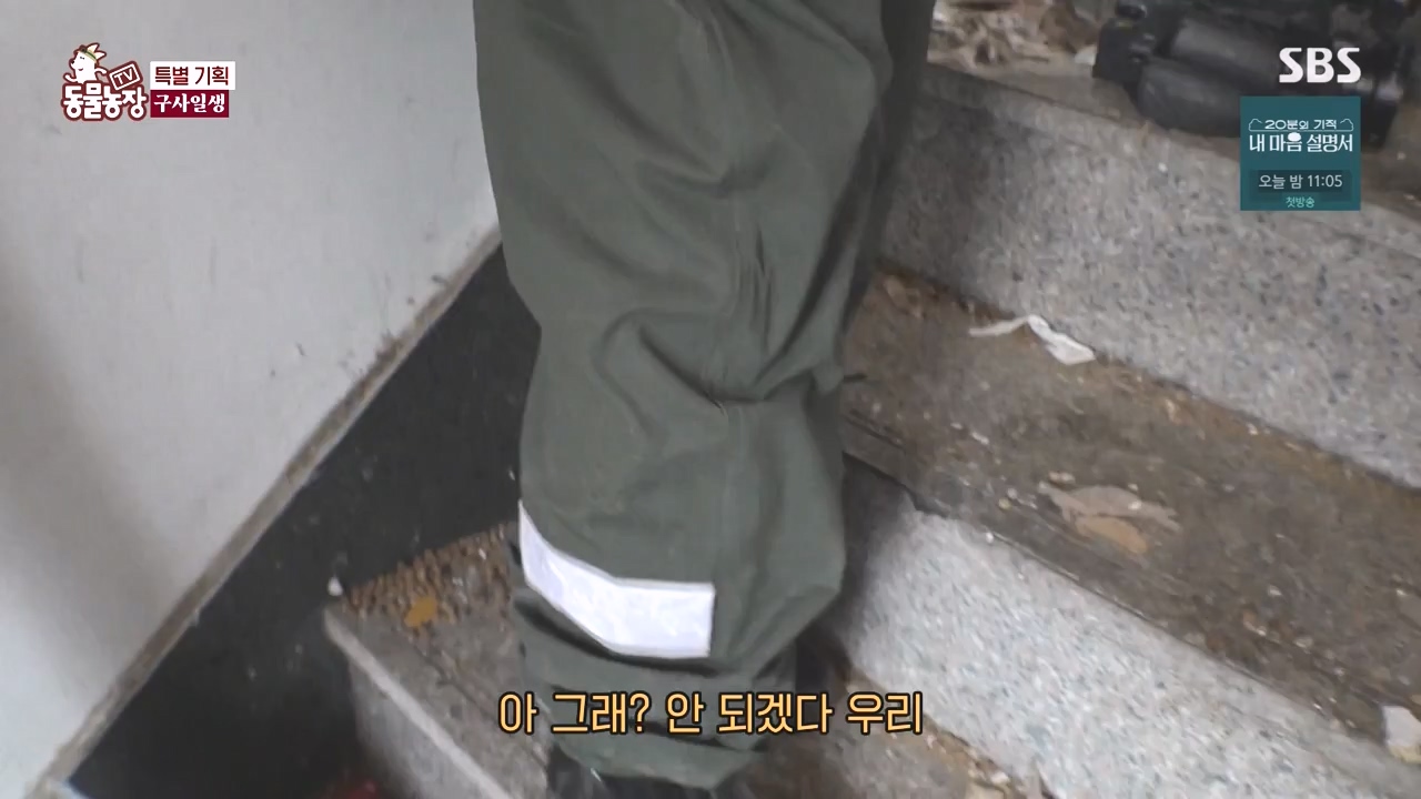 TV 동물농장.E1171.240513p-NEXT.mp4_20240512_163341.733.jpg