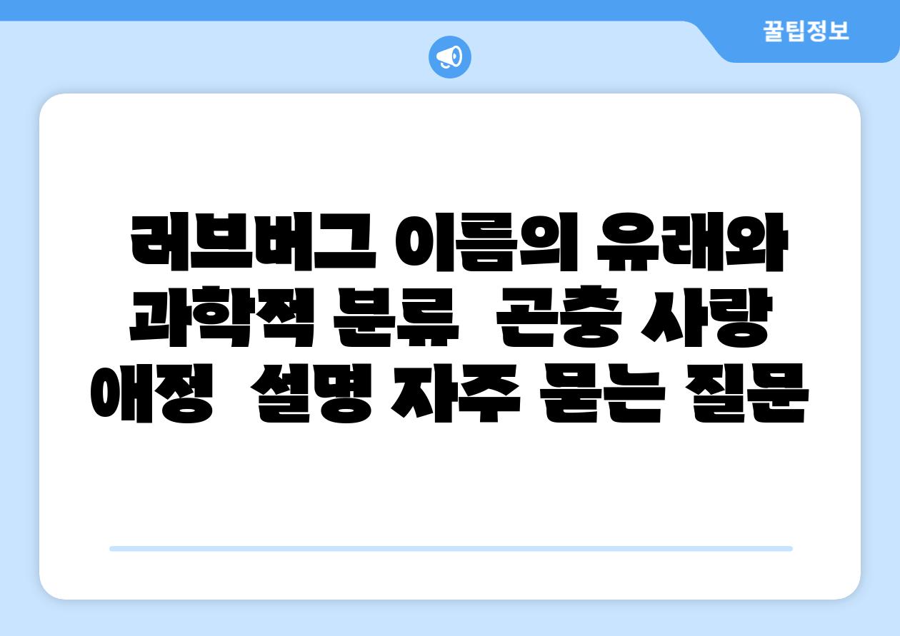  러브버그 이름의 유래와 과학적 분류  곤충 사랑 애정  설명 자주 묻는 질문