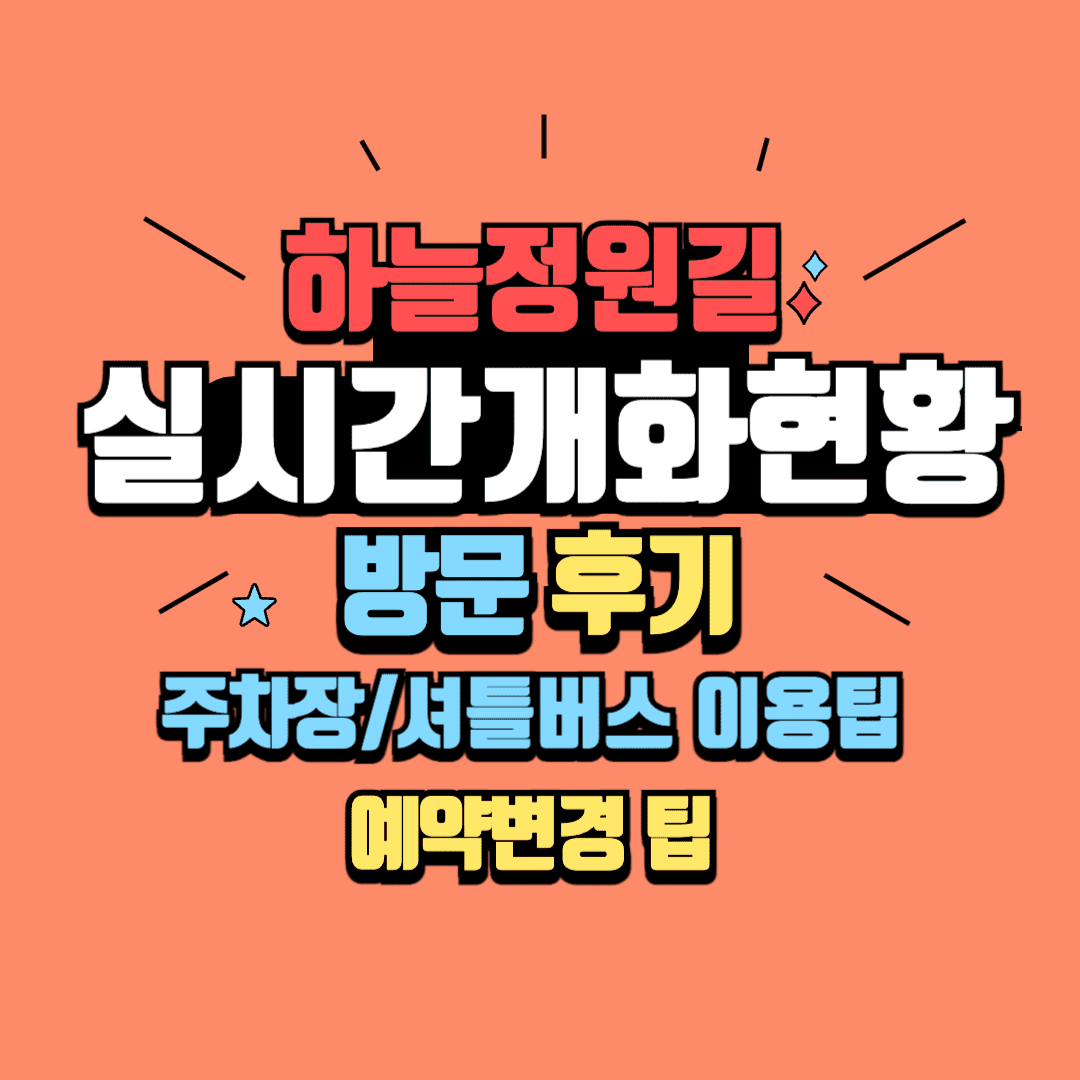 에버랜드 하늘정원길 실시간 개화현황 후기 주차장 예약변경 팁