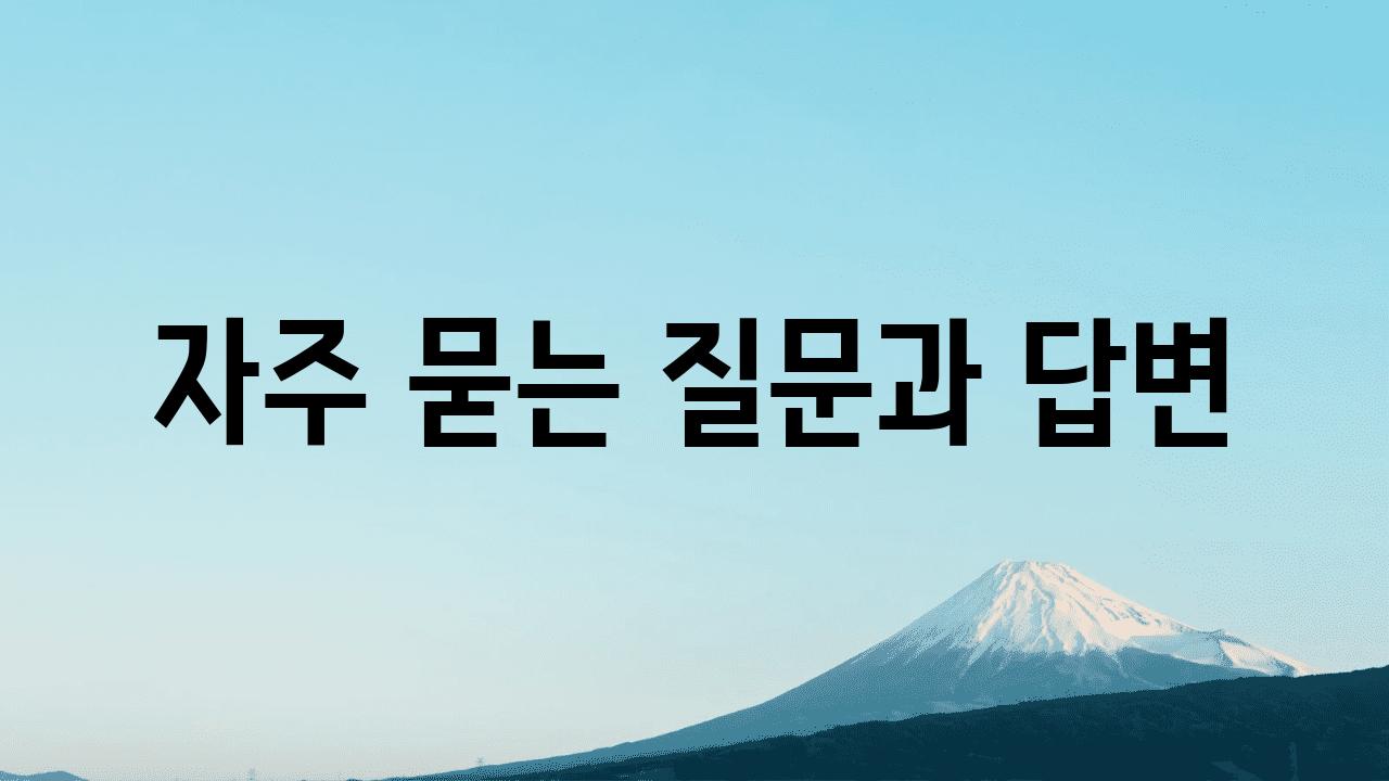 자주 묻는 질문과 답변