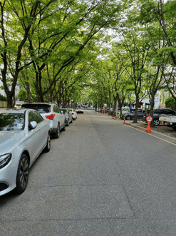 송파구 방이동 올림픽선수기자촌아파트 대형 평형 경매&amp;#44; 2024타경54864 관련 사진