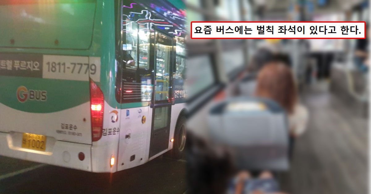  벌칙 좌석 생겼다는 요즘 버스 ㅋㅋㅋ