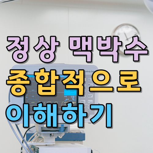  성인 정상 맥박수와 수명, 운동, 측정하기 종합적으로 이해하기