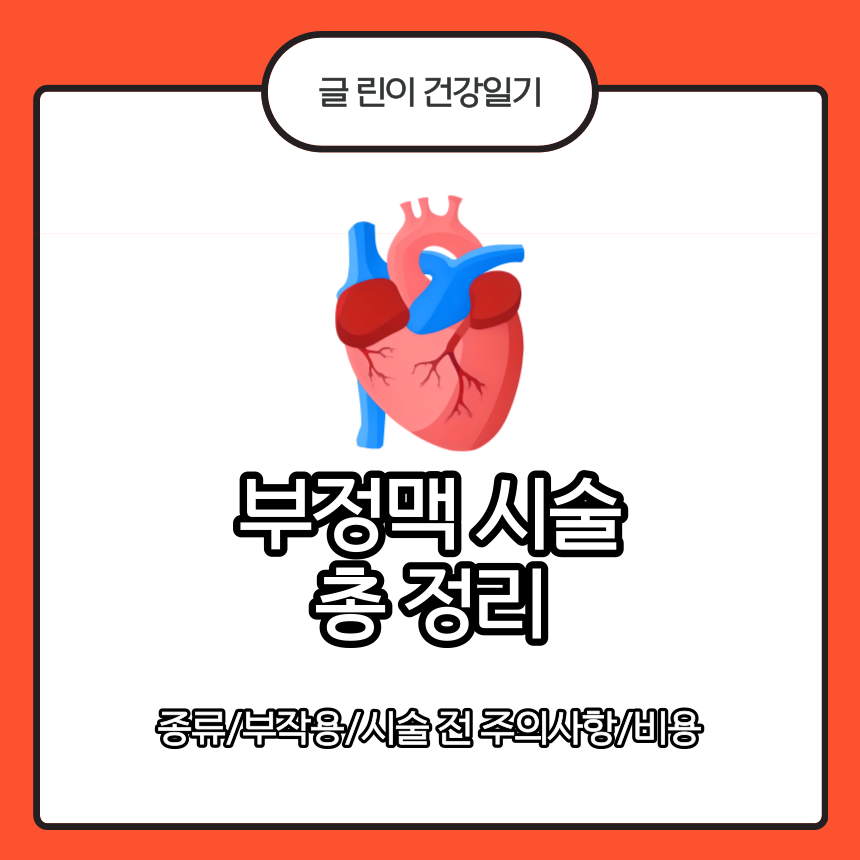  부정맥 시술 총 정리