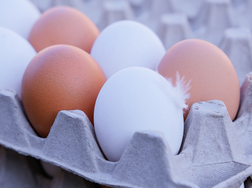 달걀&#44; 계란