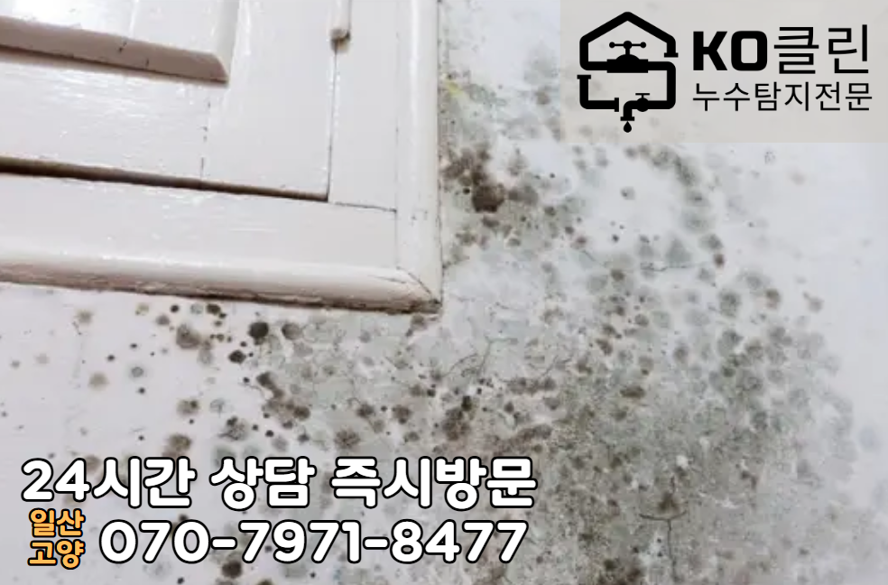 탄현동 아파트2