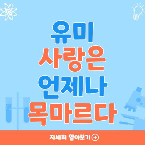 유미 사랑은 언제나 목마르다