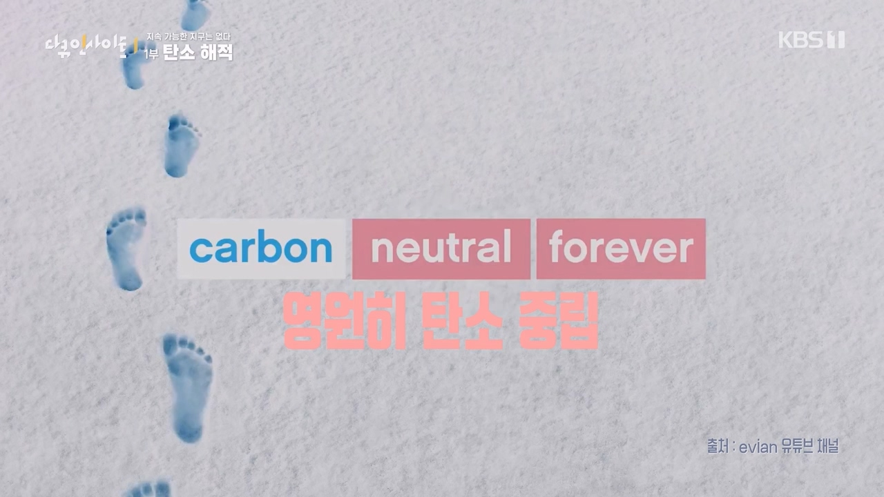 다큐 인사이트.E177.240112p-NEXT.mp4_20240113_155841.104.jpg