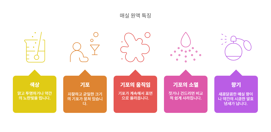 정상적인 매실원액 거품의 특징