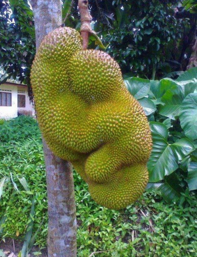 img.jpg
