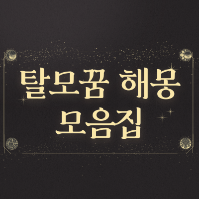  탈모꿈 해몽 풀이 머리빠지는꿈