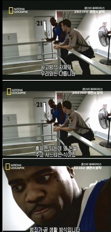 [그림책 상담실] 사고가 성공을 좌우한다! 성장형 사고방식을 키우려면?