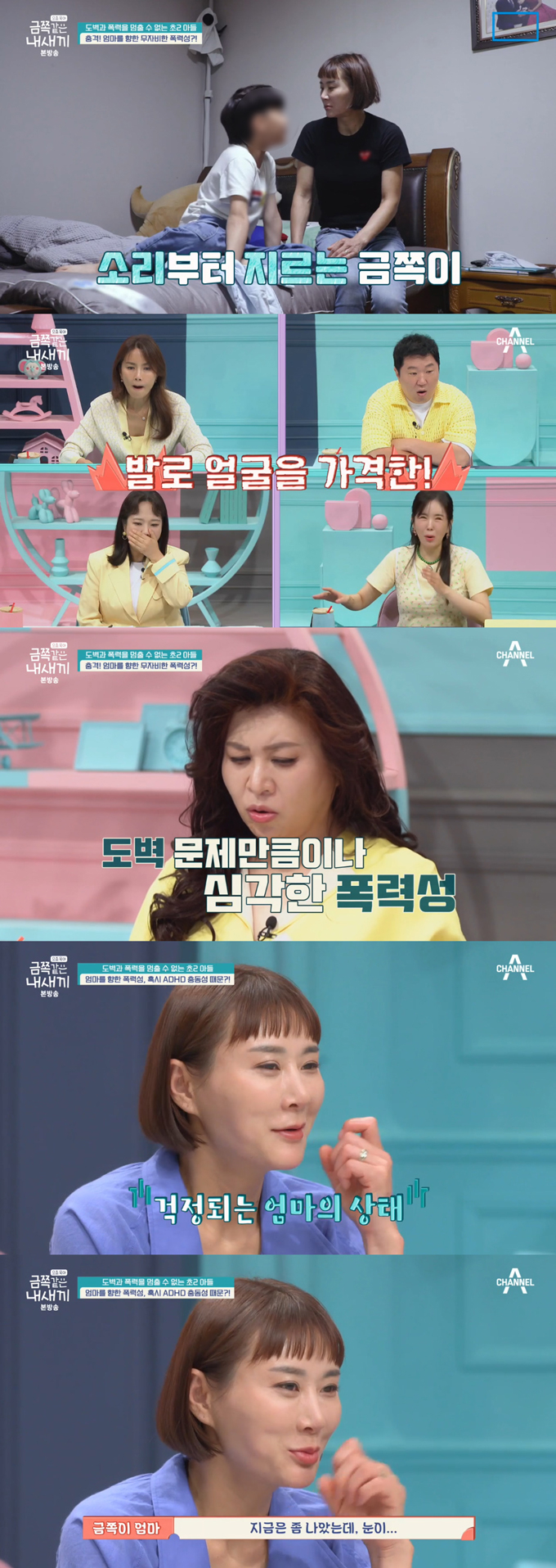 금쪽