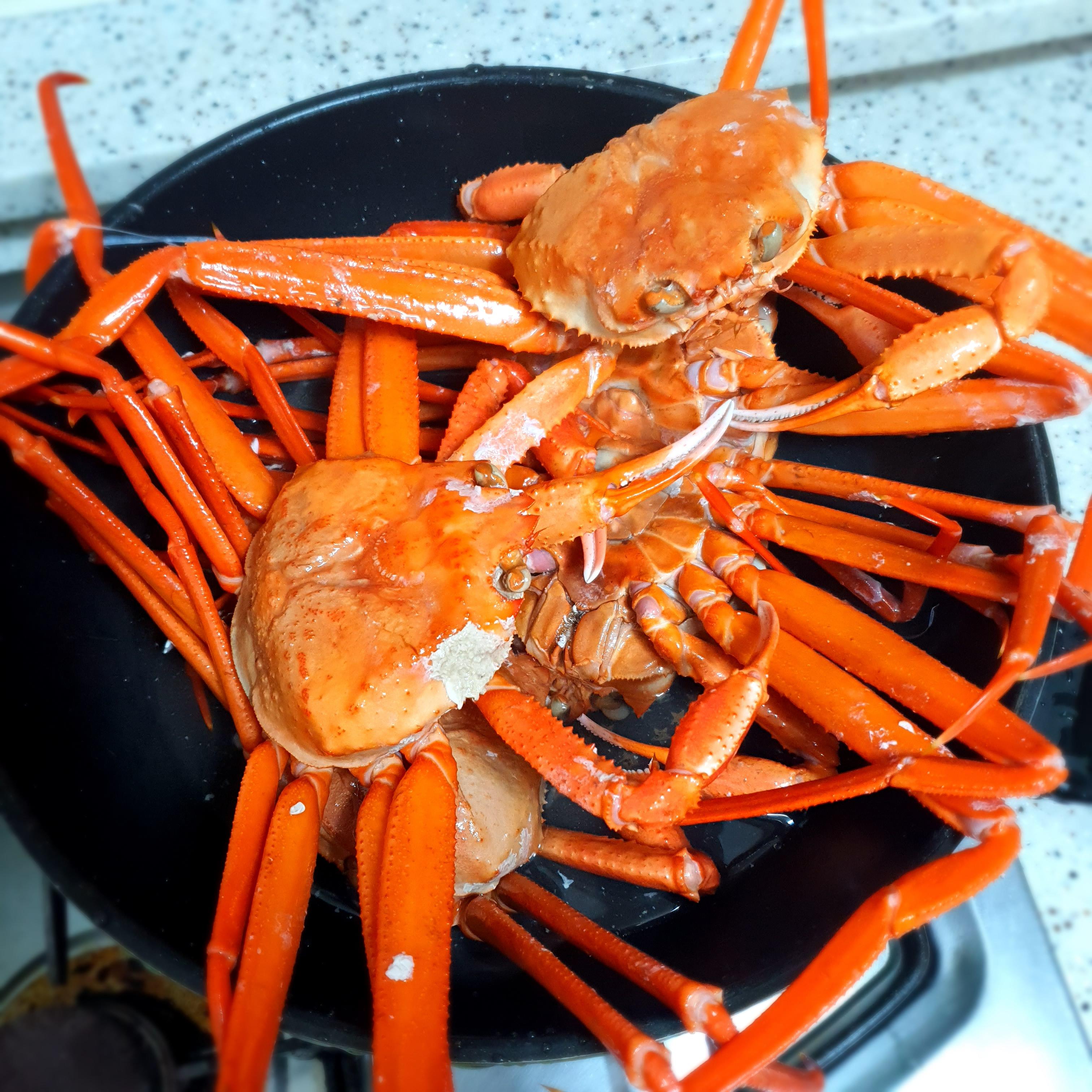  [홍게] 홍게 맛있게 먹는법 / 홍게 삶는법 / 홍게 효능 / 홍게 금어기 / 홍게 제철